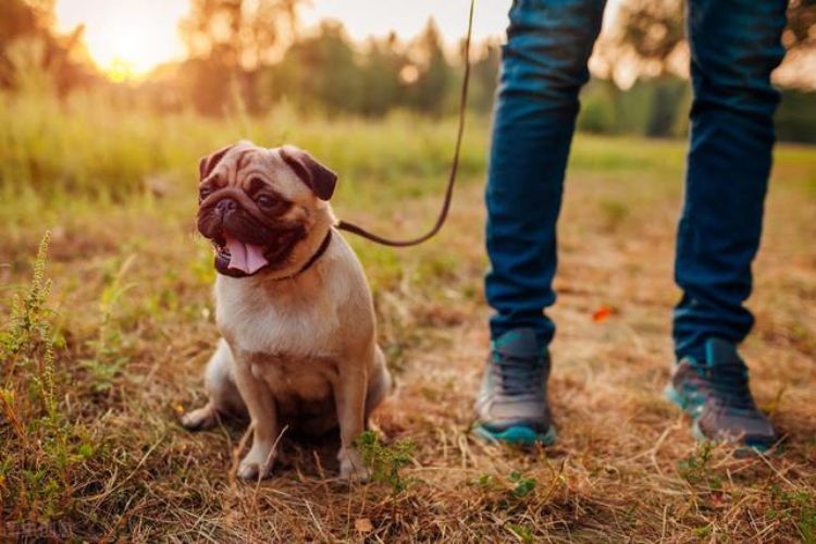 1725433511508650.jpg 6193.jpg