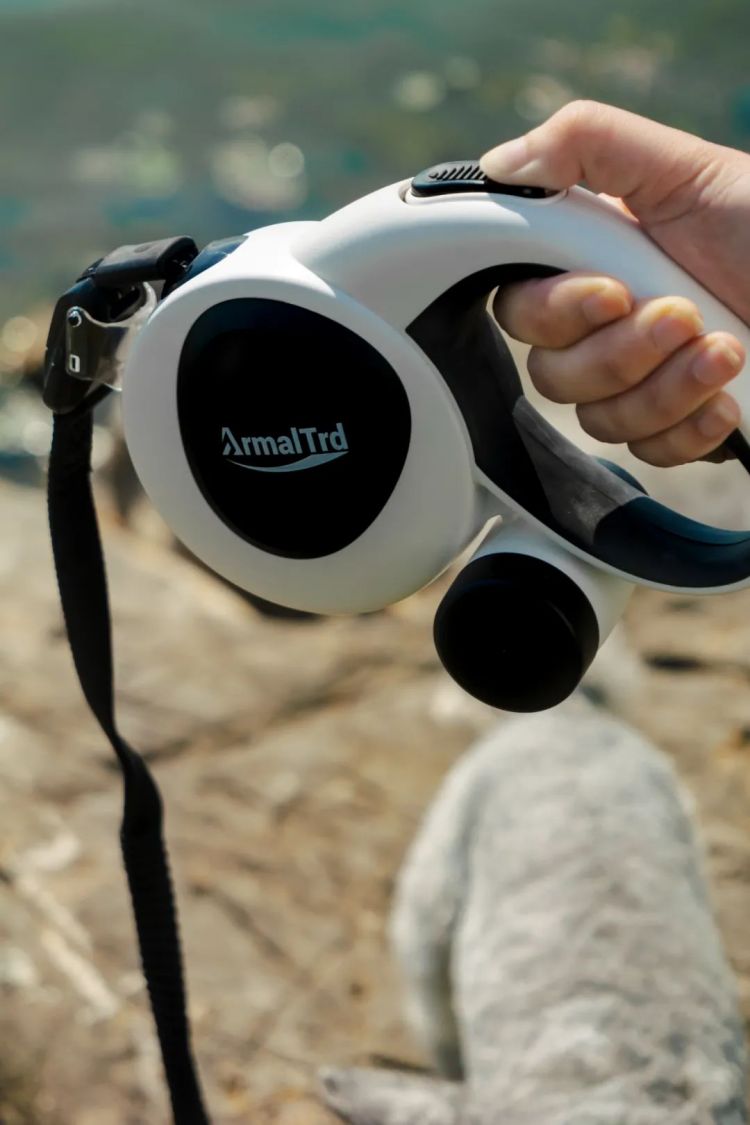 1735097844975652.jpg 8.jpg